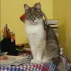 Отзыв от Кира Денисова